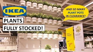 IKEA Plants, Planters Shopping & My Clearance Finds!