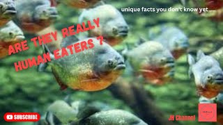 5 Facts About Piranha Fish, Unique facts you don't know yet…