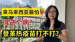 移居马来西亚最害怕的事情｜登革热疫苗打还是不打？Dengue Vaccine