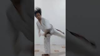 TAEKWONDO JUMPING SPIN BACK KICK