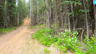 4 by 4 ride on Bluff cabin lake trail part one.