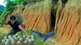 Survival in the rainforest-Found crocodile eggs | cook crocodile egg with peppers-Eating delicious