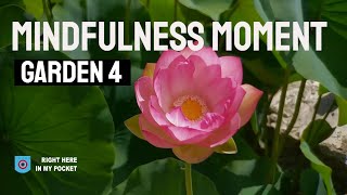 Mindfulness Moment Garden #4 (3min 35sec)