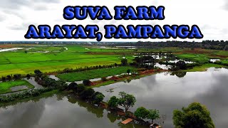 SUVA BLESSED FARM AT ARAYAT, PAMPANGA (VLOG #48)