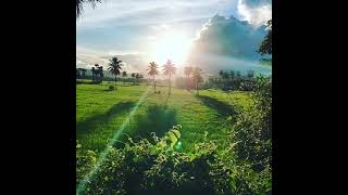 sunshine 🌞 very beautiful ❤️ #.viral video#.telugu youtube channel (Earth on incredible).