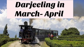 Darjeeling in April | Darjeeling In March | Darjeeling In March April | Darjeeling Tour Guide