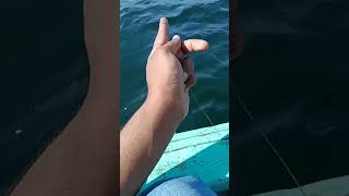 arabian sea fishing