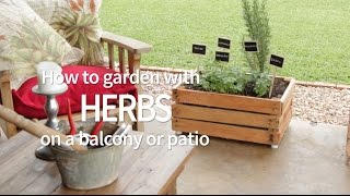 How to garden with herbs on a balcony or patio