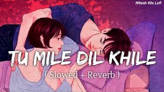 Tu Mile Dil Khile 🥀 | [ slowed+Reverb]💕 |Stebin Ben | Asees Kaur | Lijo G-Dj Chetas #niralofi