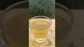 Natural Healthy Fenugreek Tea 🍵☕ #trending #youtubeshorts #shortsviral #viralreels #reels