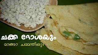 Chakka Dosa Recipe|ചക്ക ദോശl|Breakfast recipe malayalam|Variety dosa|Chakka recipe in malayalam