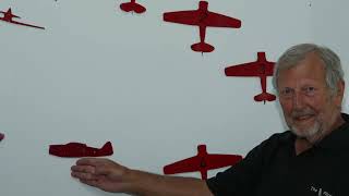 Jeff Earle Formation Flying Training