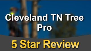 Cleveland TN Tree Pro Reviews - Five Stars for Tree Service in Cleveland, TN