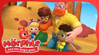 Perfect Day | Morphle and The Magic Pets | Available on Disney+ and Disney Jr