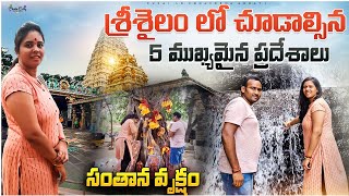 Srisailam full tour plan || local temples || శ్రీ శైలం లో చూడాల్సిన ప్లేసెస్ #teluguvlogs#srisailam