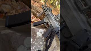 Is the cz scorpion one of the best pistol caliber carbines for the price? #pewlife #cz #scorpion