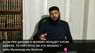 ЕСЛИ ПРИ ДОЕНИИ В МОЛОКО ПОПАДЕТ КУСОК НАВОЗА, ТО ПОРТИТСЯ ЛИ ЭТО МОЛОКО ?