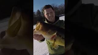 Giant Bass Through the Ice