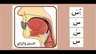 Practicing the letter سين