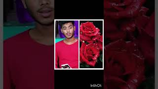 fayas vs rose  unga favourite yaru comment la sollunga next video eppadi comment la sollunga