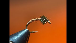 Brassie Nymph