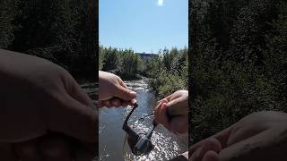 Fishing city trout #Subscribe #Alaska #Outdoors #Nature #Trout #Fishing #Food #Shorts #Cooking