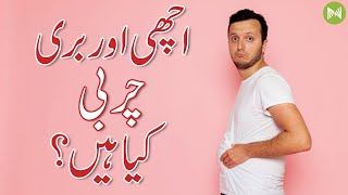 What Are Good And Bad Fats?? | اچھی اور بری چربی کیا ہیں؟ | Metahealth