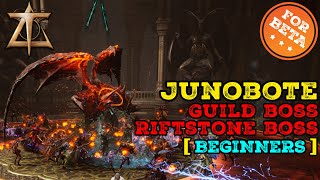 Quick Guide - Junobote - Guild Raid - Throne And Liberty