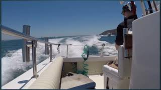 San Diego Fishing for Tuna (Foamers caught on the popper) Report July 2020