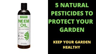 5 Natural Pesticides To Protect Your Garden