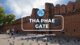 Shooting and catching birds at Tha Pae Gate, Chiang Mai Old City, Thailand