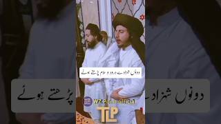 دونوں شہزادے ایک ساتھ#shortsviral #shortvideo #wzpointofficial #shorts #short