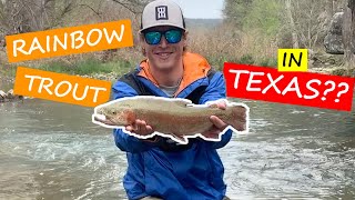 GUADALUPE river winter FISHING {RAINBOW TROUT IN TEXAS??} | Rainbow Trout Fishing EP. 5