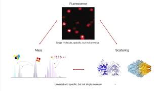 [Webinar] Measuring Molecules with Light - Prof. Philipp Kukura, University of Oxford