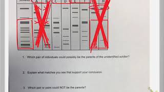 bio 4-29 pre-eoc review