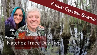 Natchez Trace Cypess Swamp