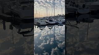 A beautiful morning in the Marina #subscribe #youtubeshorts #shorts