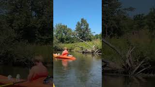 Kayak Adventures