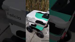 delivery robot