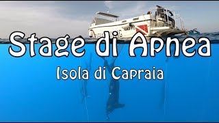 Stage di Apnea con Umberto Pelizzari   Isola di Capraia