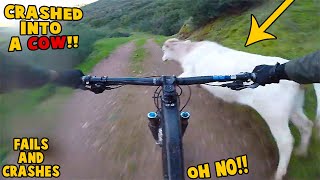 The Worst MTB Fails of 2022 | Best Mountain Biking Crashes #56