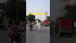 #horse speed #horse#for you #viral video #5 million views #shehr main dihat#shehr main prinday#viral