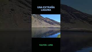 Puquial en los ANDES, aquí nace una laguna #cueva #pesca #exploracion #fishing