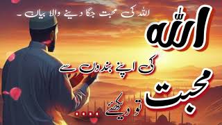 Allah Ki Mohabbat || saqib Raza mustufai || Alishba voice corner