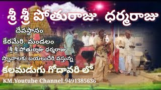 శ్రీ శ్రీ పోతురాజు  ధర్మరాజుNEW KOLAMI VIDEO 2024#pothuraju