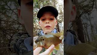 Fat sunfish on crappie jig #fishingbait #fishinglure #fish ￼