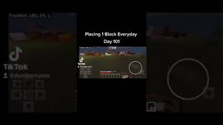 Placing 1 Block Everyday Day #101