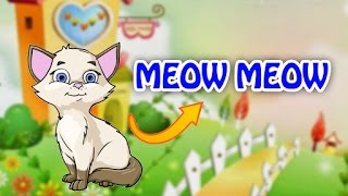 Meow Meow | Cats Songs | Hindi Nursery Rhymes Song For Kids With Lyrics