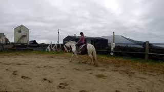 Go-Pro - Horse Riding Times