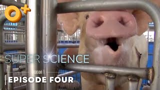 Super Science | Season 1 Episode 4: Agricultural Biotechnology